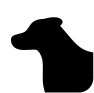 Línea PET